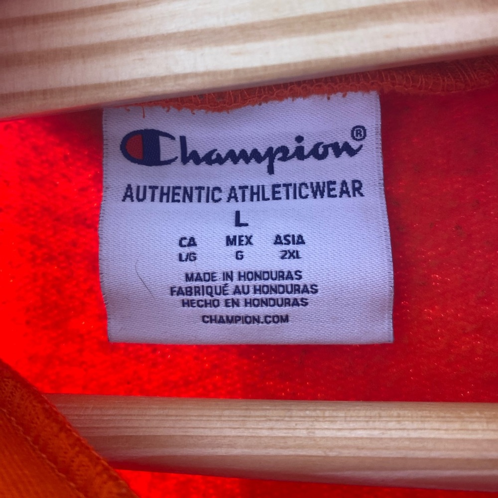 CHAMPION RIT HOODIE - Picture 4 of 4